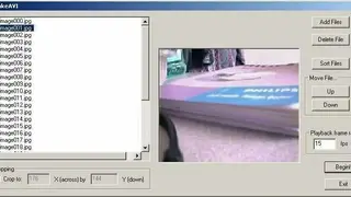 MakeAVI screenshot