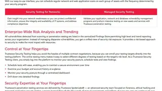 Managed Security Testing screenshot