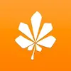 MapleBoy