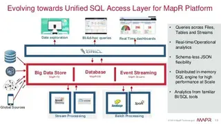 MapR Technologies screenshot