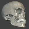 MARA3D Facial Expressions