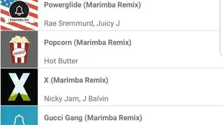 Marimba Ringtone Remixes screenshot