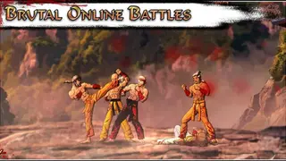 Martial Arts Brutality screenshot