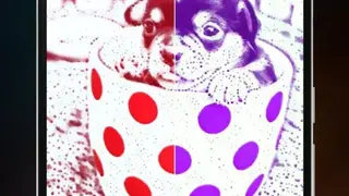 Matissa screenshot
