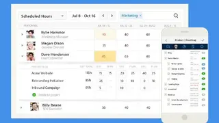 Mavenlink screenshot