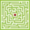 Maze Challenge