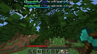 MCMMO screenshot