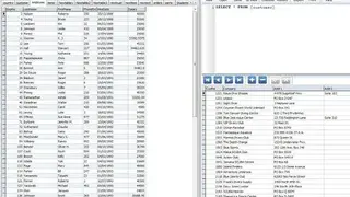 MDB Viewer Plus screenshot