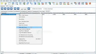 MDB Viewer Plus screenshot