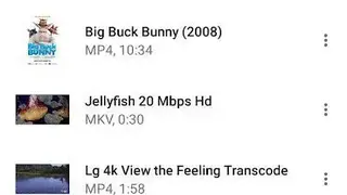 Media Streamer for DLNA/Chromecast screenshot