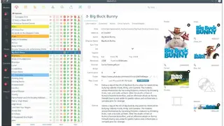 MediaElch screenshot