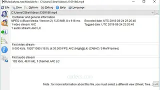 MediaInfo screenshot