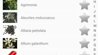 Medicinal Plants & Herbs: Encyclopedia screenshot