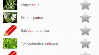 Medicinal Plants & Herbs: Encyclopedia screenshot