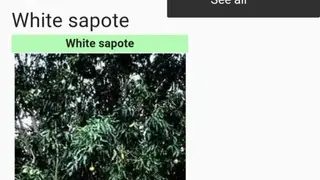 Medicinal Plants & Herbs: Encyclopedia screenshot