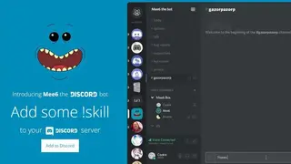 MEE6 screenshot