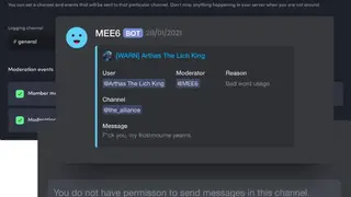 MEE6 Bot screenshot