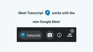 Meet Transcript screenshot