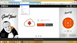 MegaDownload screenshot