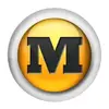 MegaUpload
