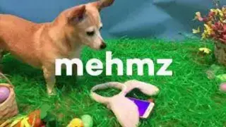 Mehmz screenshot