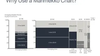 Mekko Graphics screenshot