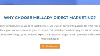 Mellady Direct screenshot