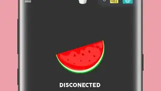 Melon VPN screenshot