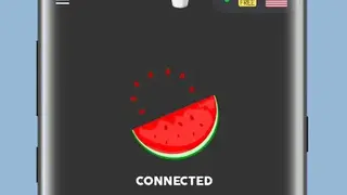 Melon VPN screenshot