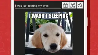 Meme Generator Free screenshot