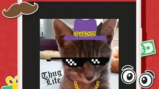 Meme Generator Free screenshot