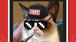 MemeNow screenshot