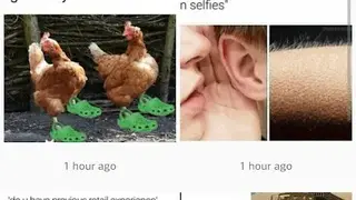 Memes daily App screenshot