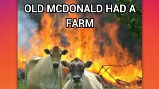 Memes Generator and Creator screenshot