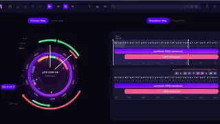 Mendelgen screenshot