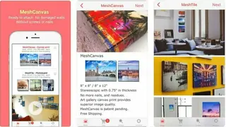 MeshCanvas screenshot