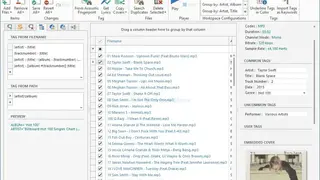 Metatogger screenshot