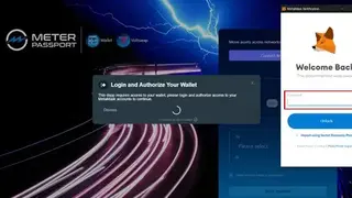 Meter screenshot
