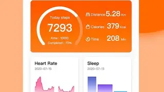 Mibro Fit screenshot