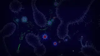 Microcosmum: survival of cells screenshot