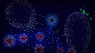 Microcosmum: survival of cells screenshot
