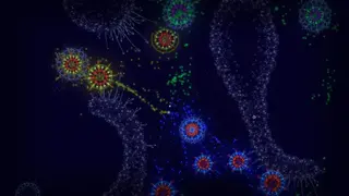 Microcosmum: survival of cells screenshot