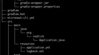 Micronaut Framework screenshot