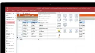Microsoft Access screenshot
