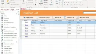 Microsoft Access screenshot