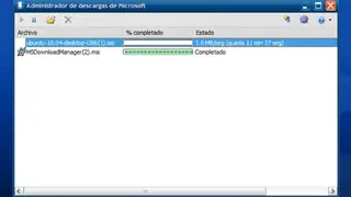 Microsoft Download Manager screenshot