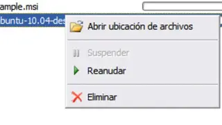 Microsoft Download Manager screenshot