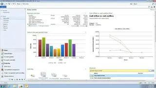Microsoft Dynamics ERP screenshot