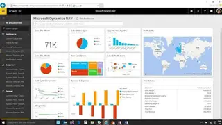Microsoft Dynamics ERP screenshot