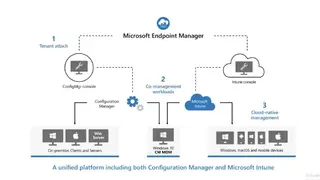 Microsoft Endpoint Manager screenshot